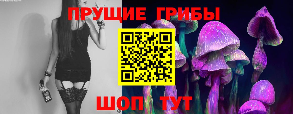 Галлюциногенные грибы мицелий Большой Камень